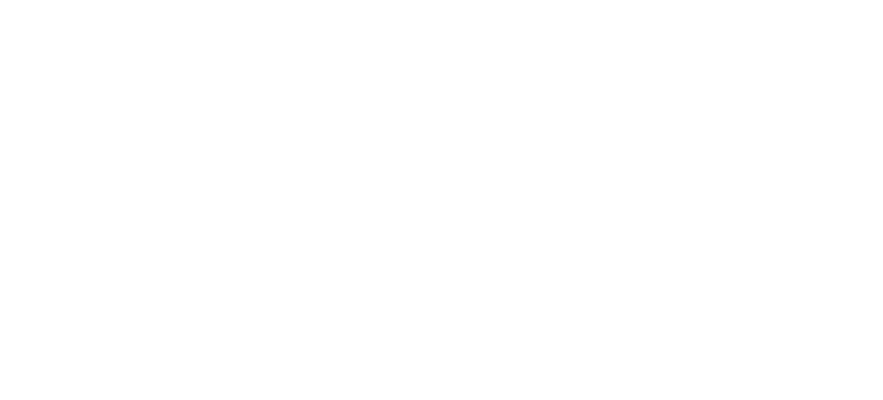 Data Vanguards